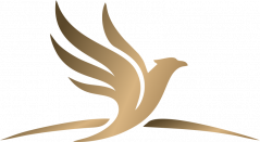 logodorado800x450