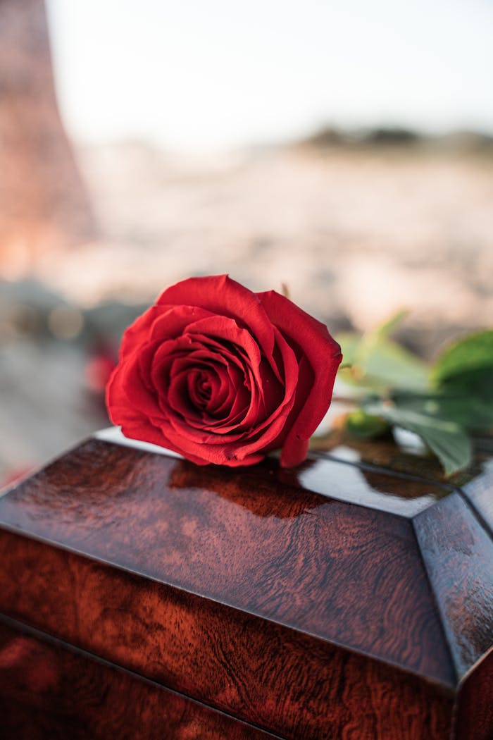 gallery-5 A close-up of a red rose resting on a glossy wooden coffin, symbolizing love and remembrance.