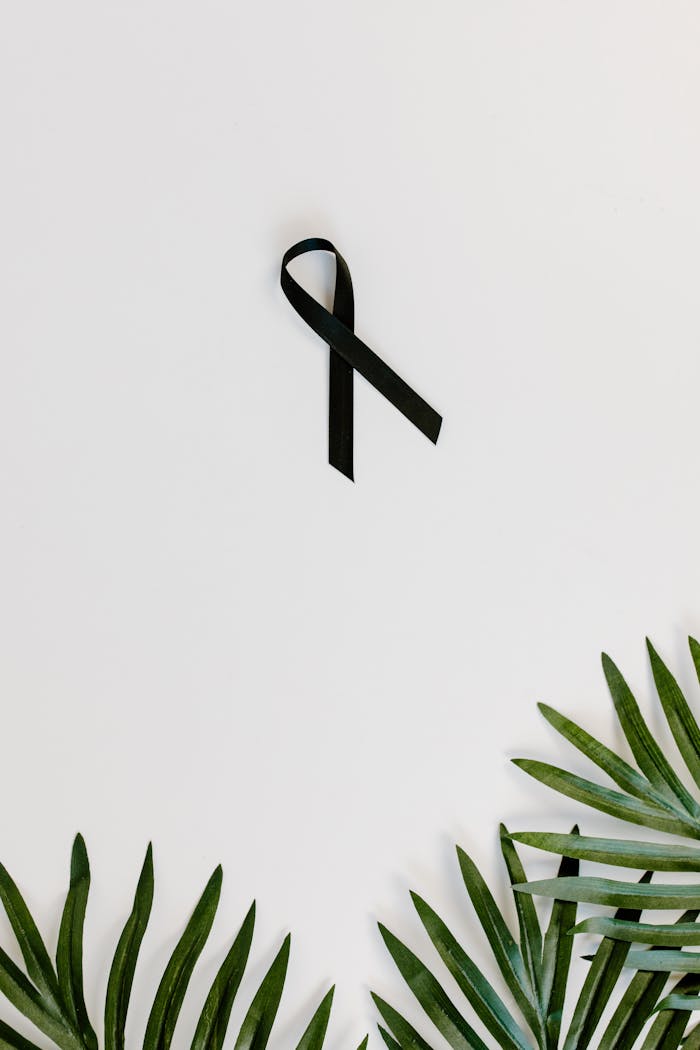gallery-3 Minimalist image of black ribbon and green leaves symbolizing awareness or mourning.